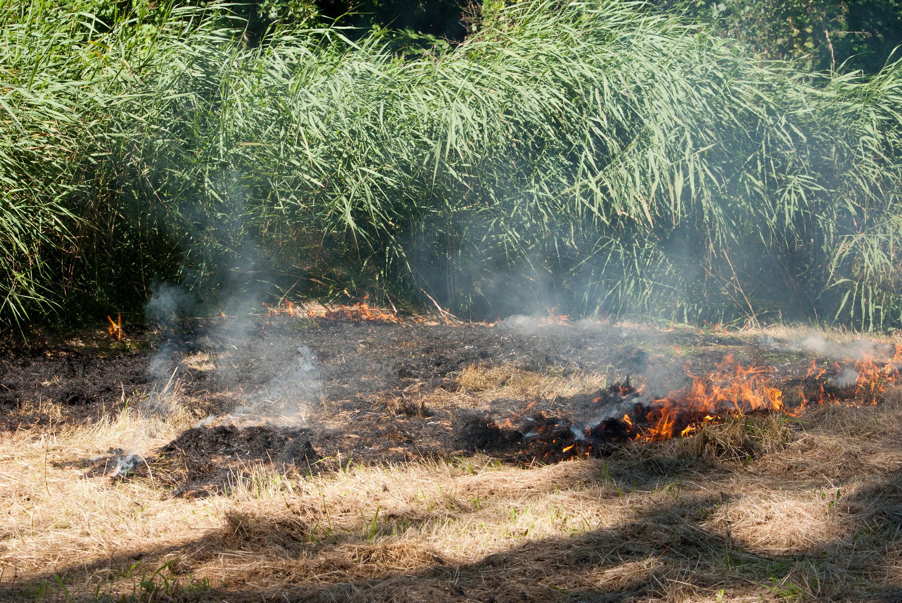 natuurbrand met lichte rook