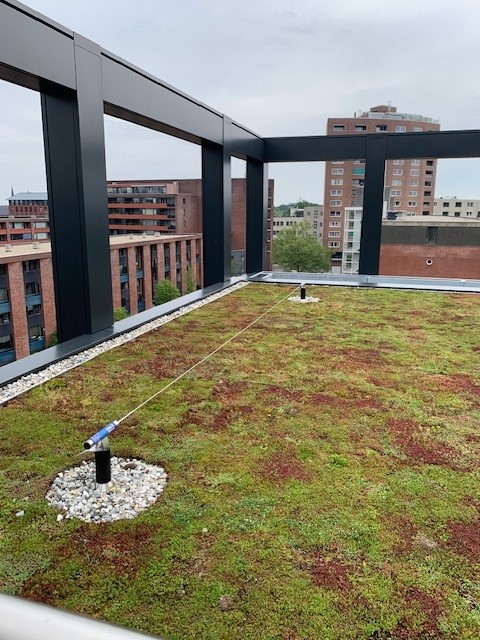 Groene dak op het Huis voor de Stad