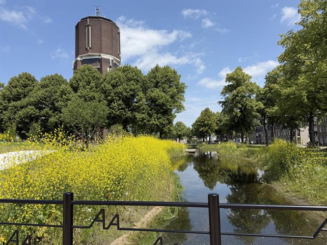 Foto 25 septemberpark en watertoren