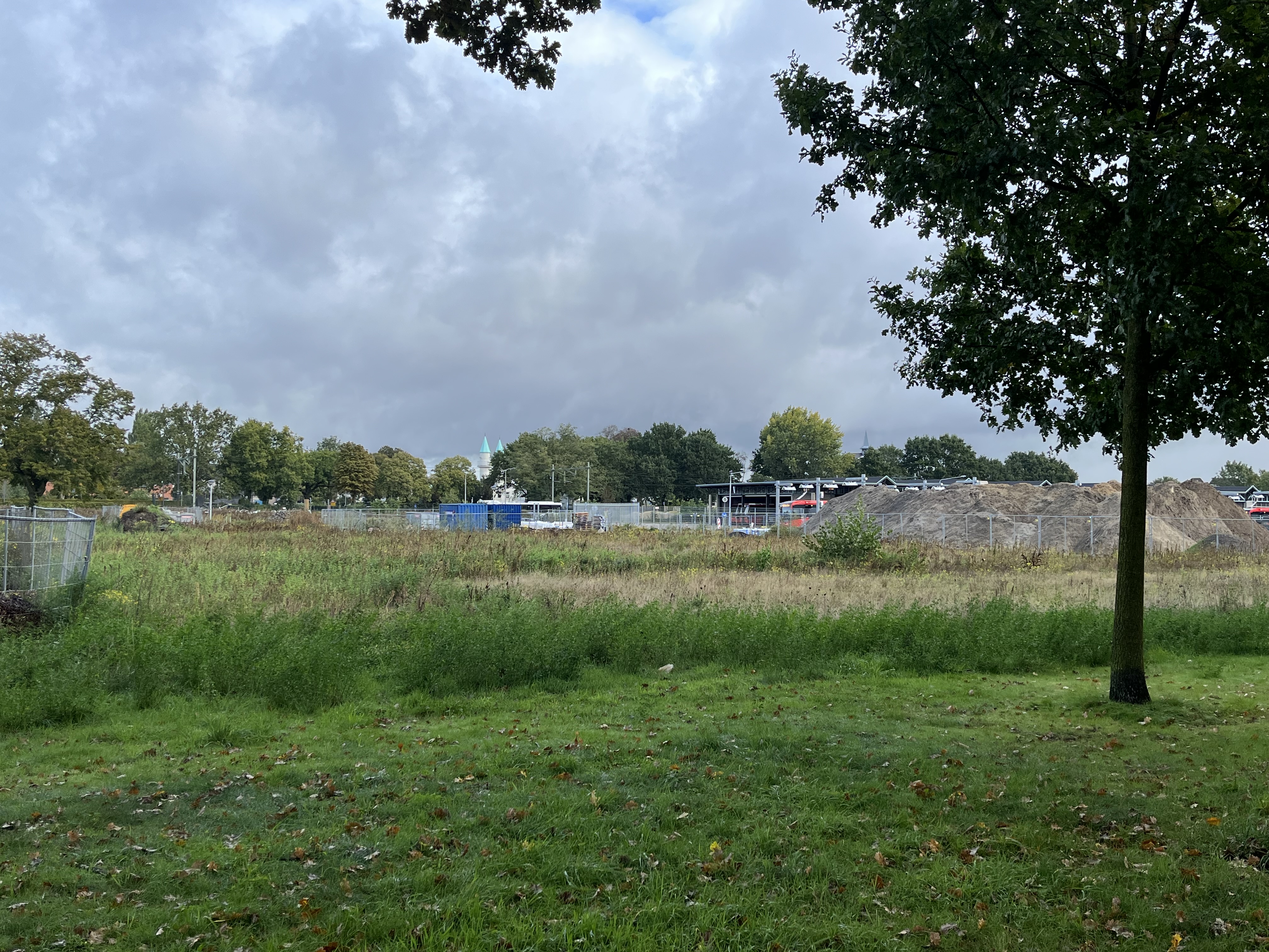 EHAD-terrein met een boom