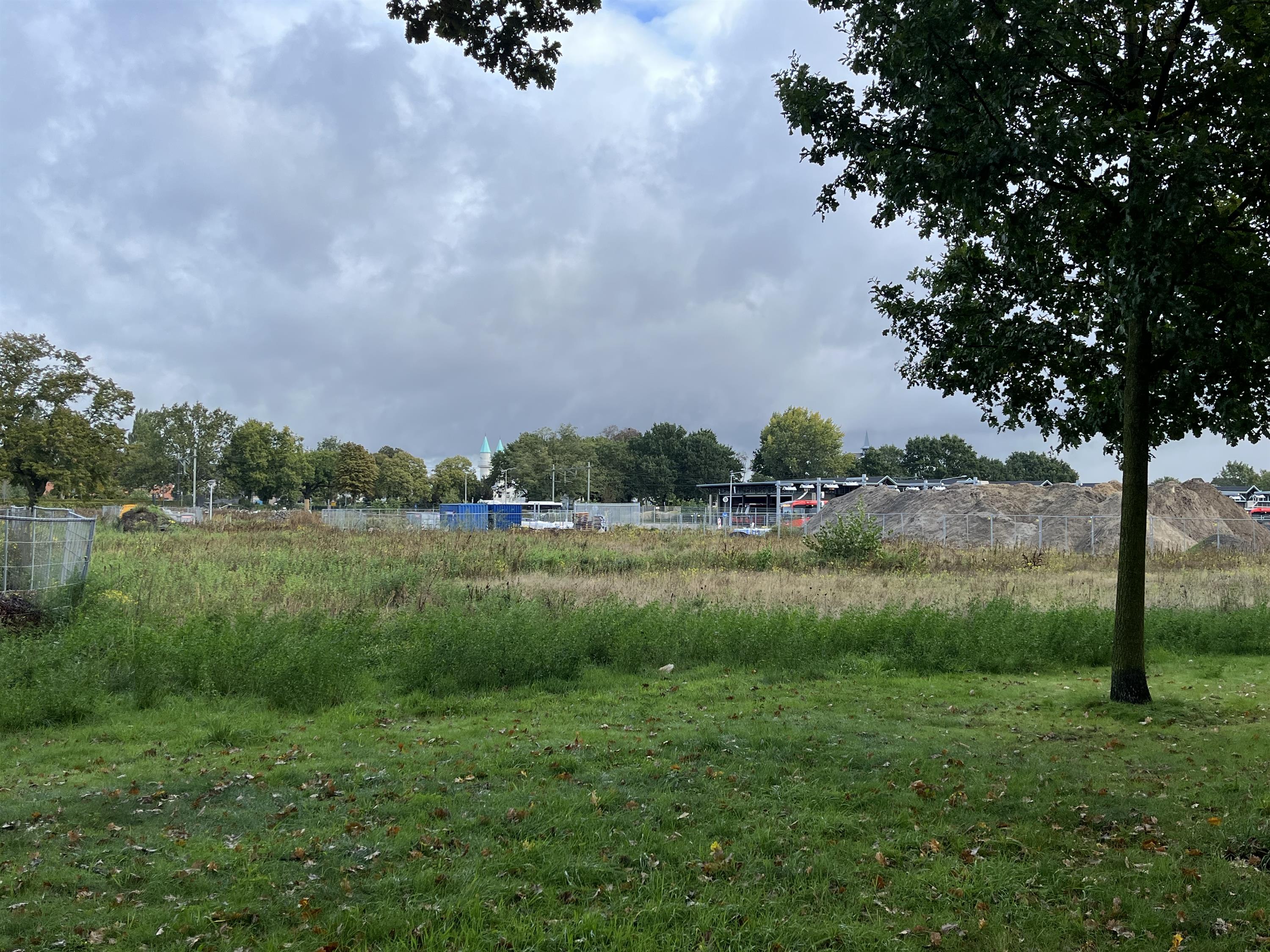 EHAD-terrein met een boom