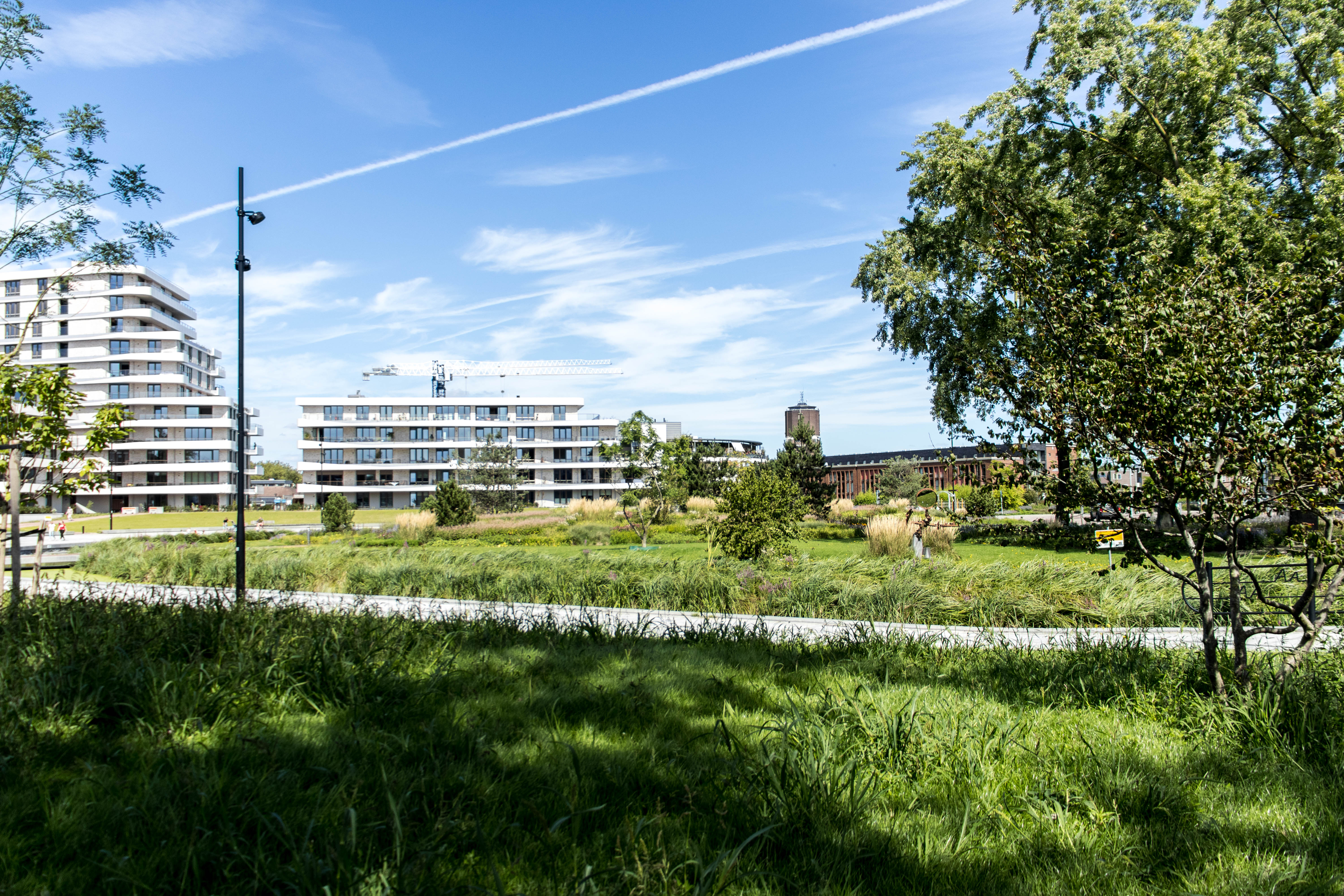 foto van het Burgemeester Geukerspark met op de voorgrond veel groen en op de achtergrond de Weef (appartementen) 